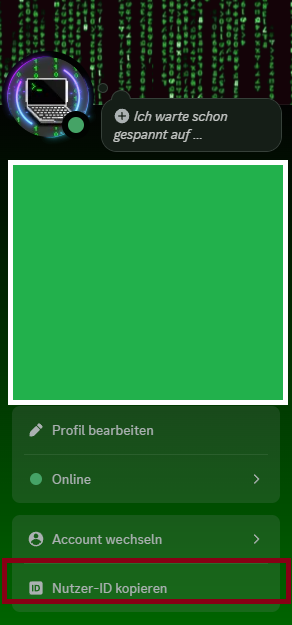 Discord Anleitung PC 5